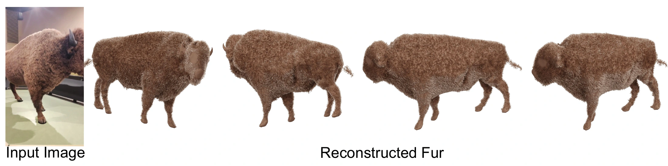 Bison photographs and reconstructed fur from the paper's real-capture experiment.