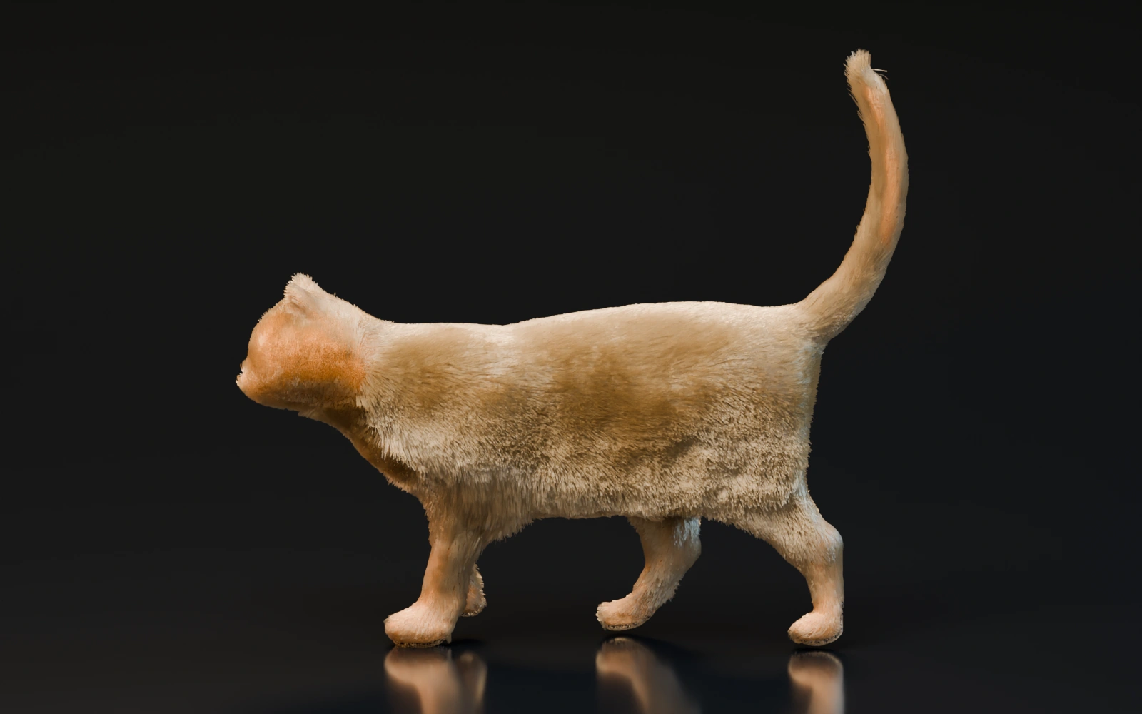 Full-density studio rendering of the reconstructed cat and its underlying body.